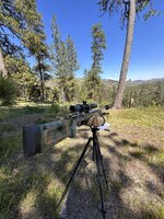 IMG_5138.jpeg