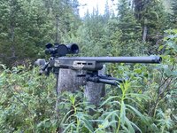 IMG_8972.jpeg IMG_8972.jpeg