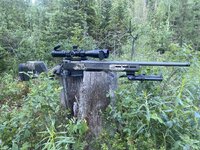 IMG_8971.jpeg IMG_8971.jpeg