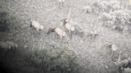 1719678463248.gif