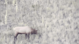 1719678511025.gif