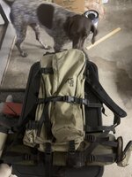 IMG_8371.jpeg