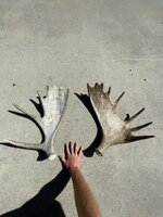 IMG_8690.jpeg