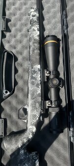 IMG_3024.jpeg