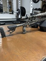 IMG_7584.jpeg