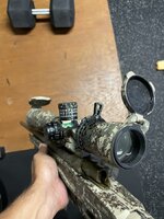 IMG_7586.jpeg