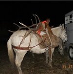 IMG_2664.jpeg