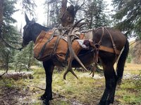 IMG_1110.jpeg