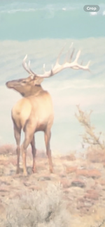 IMG_4399.png IMG_4399.png