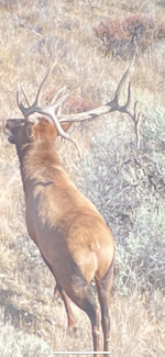 IMG_4400.png IMG_4400.png