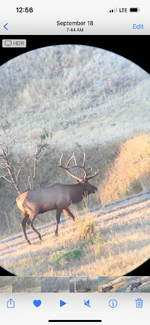 IMG_0968.png IMG_0968.png