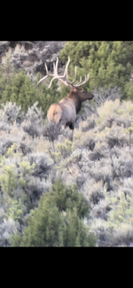 1719923454097.png 1719923454097.png