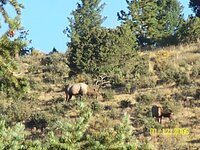 100_2814.JPG 100_2814.JPG