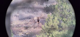 VideoCapture_20230708-230733.jpg VideoCapture_20230708-230733.jpg