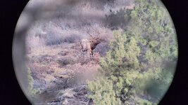 VideoCapture_20221121-183538.jpg VideoCapture_20221121-183538.jpg