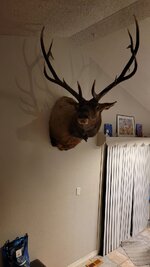 20231103_210005.jpg 20231103_210005.jpg