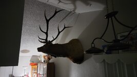 20231103_220550.jpg 20231103_220550.jpg