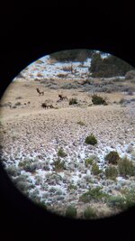 20201020_074644_20201020_074644.JPG 20201020_074644_20201020_074644.JPG