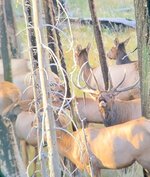 IMG_4412.jpeg IMG_4412.jpeg