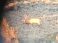 20231007_071926.jpg 20231007_071926.jpg