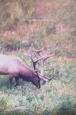 IMG_6609.jpeg IMG_6609.jpeg