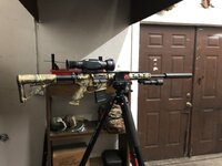 IMG_2912.jpeg