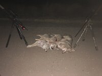 IMG_4248.jpeg