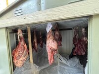 IMG_6296.jpeg
