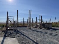 IMG_4269.jpeg