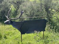 fallow.jpeg
