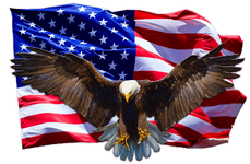 1720101999437.png