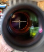 IMG_1290.jpeg