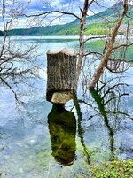 IMG_0034.jpeg