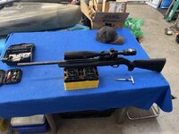 IMG_8569.jpeg