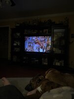 IMG_1109.jpeg