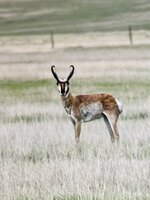 IMG_1774.jpg