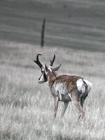 IMG_1782.jpg