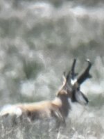 IMG_1809.jpg