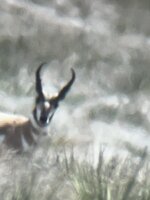 IMG_1812.jpg
