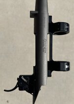 IMG_1811.jpeg