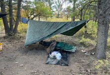 camp.JPG