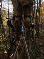 IMG_7409.jpeg IMG_7409.jpeg