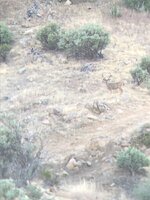IMG_1002.jpeg