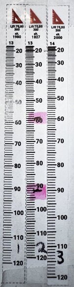 IMG_2211.jpeg