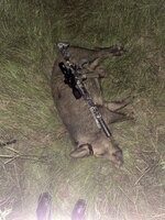 IMG_4051.jpeg