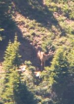 IMG_20240705_094807.jpg