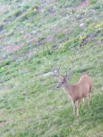 IMG_20240706_064811.jpg