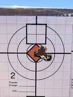 IMG_4922.jpeg IMG_4922.jpeg