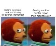 8wigzg.jpg