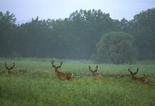 7572500_l_normal_none-696x475.jpg 7572500_l_normal_none-696x475.jpg